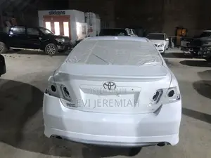 Technician(Car Spray-Painter)