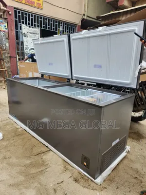 Hisense Big 2 Doors Freezer 91dd