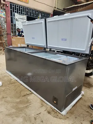 Hisense Big 2 Doors Freezer 91dd