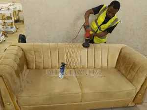 Best in Upholstery Cleaning