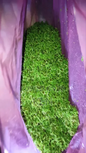 Azolla Protein Substitute
