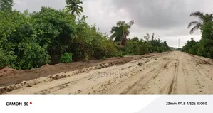 A Plot of Land