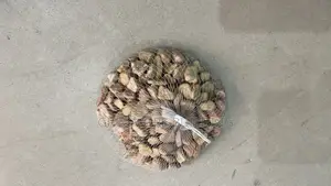 Stone Pebbles