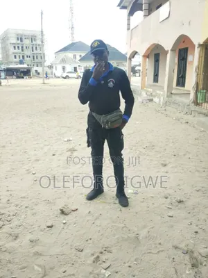 Spy Police Driver