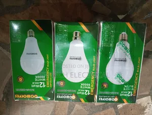 Rechargeable Bulb
