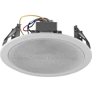 10 Watts Ceiling Speaker