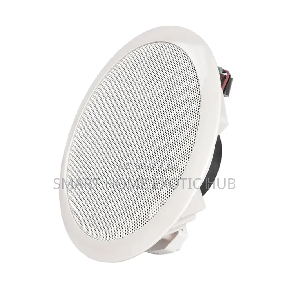 10 Watts Ceiling Speaker