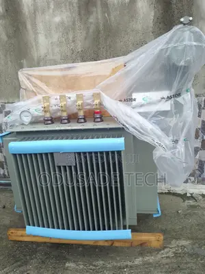 Astor 500kva 33kv Transformer for Industrial Power Needs