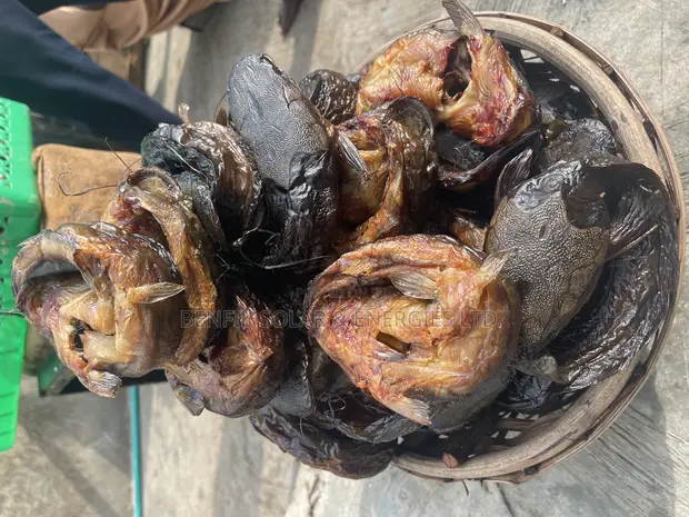 In Nigeria Smoked Catfish Recipe Oven Dried Smoked Catfish In