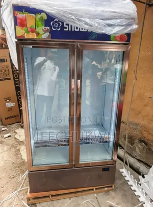 Original Quality Snowsea 700litters 2 Doors Showcase (%Copper)