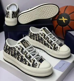 Original Quality Christian Dior Walk N Dior Luxury Sneakers