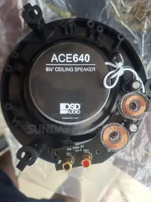 In-Ceiling Speakers (Osd Audio Usa)