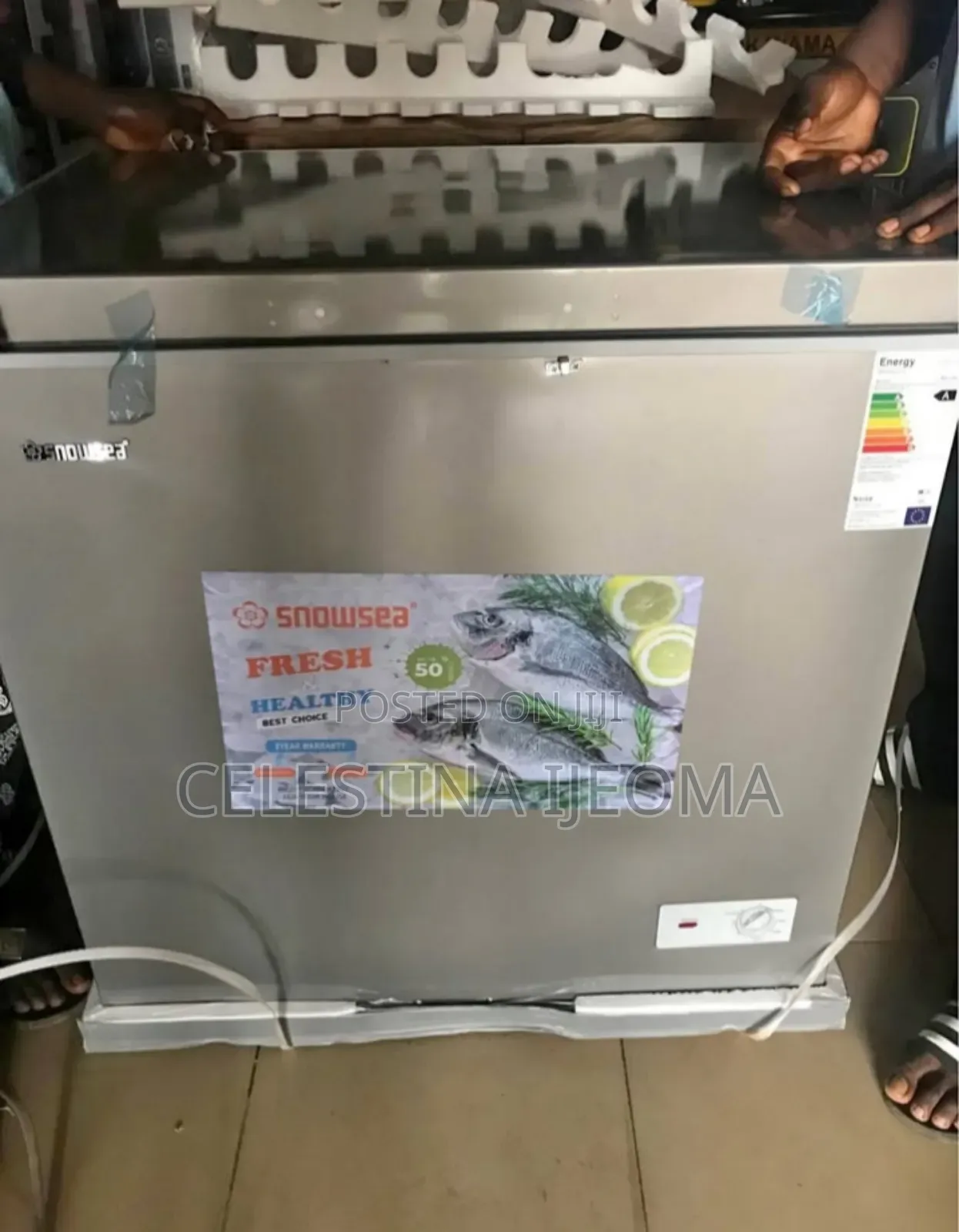 Snowsea Freezer 258l