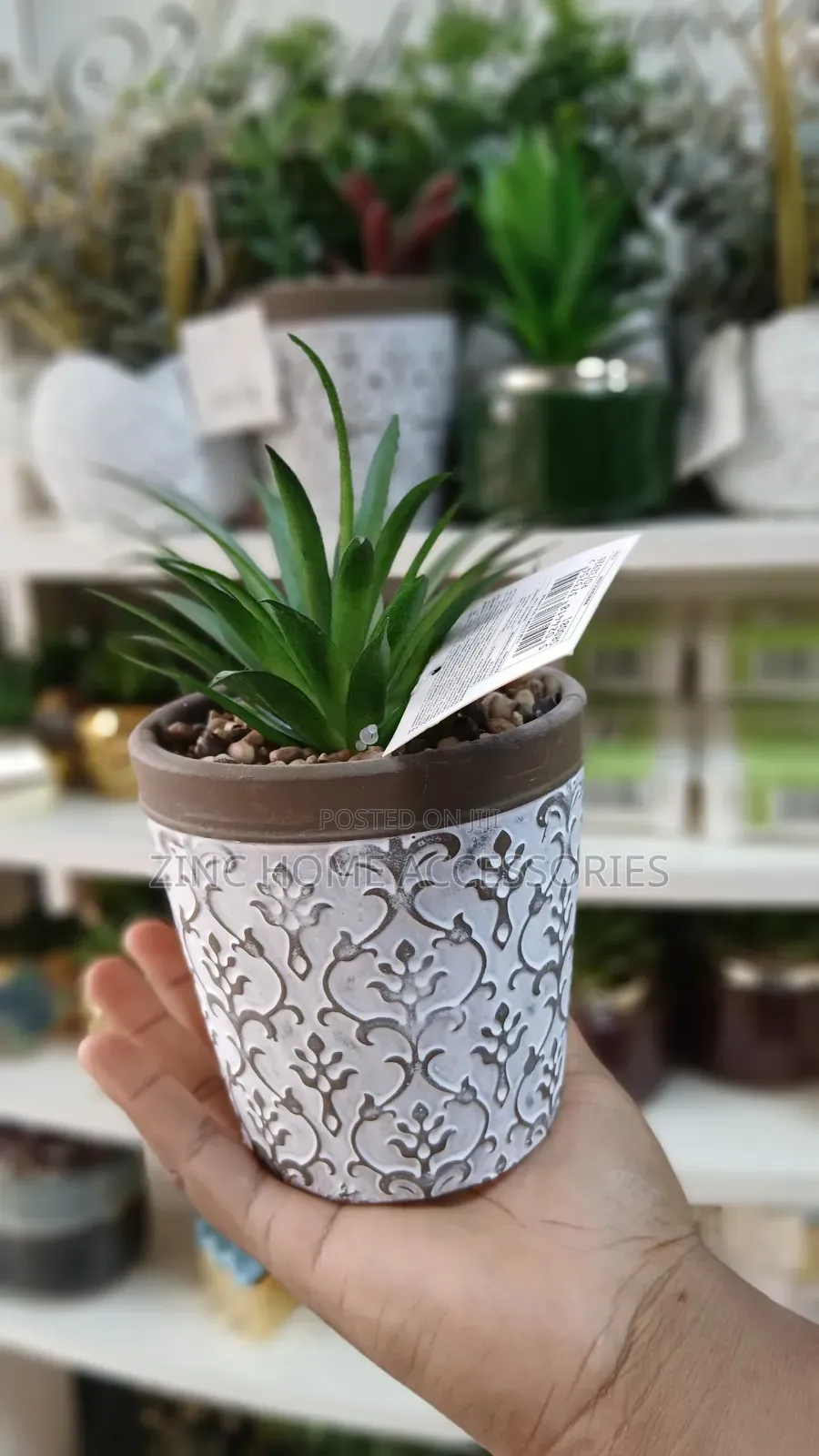 Artificial Succulent in Pot Flower