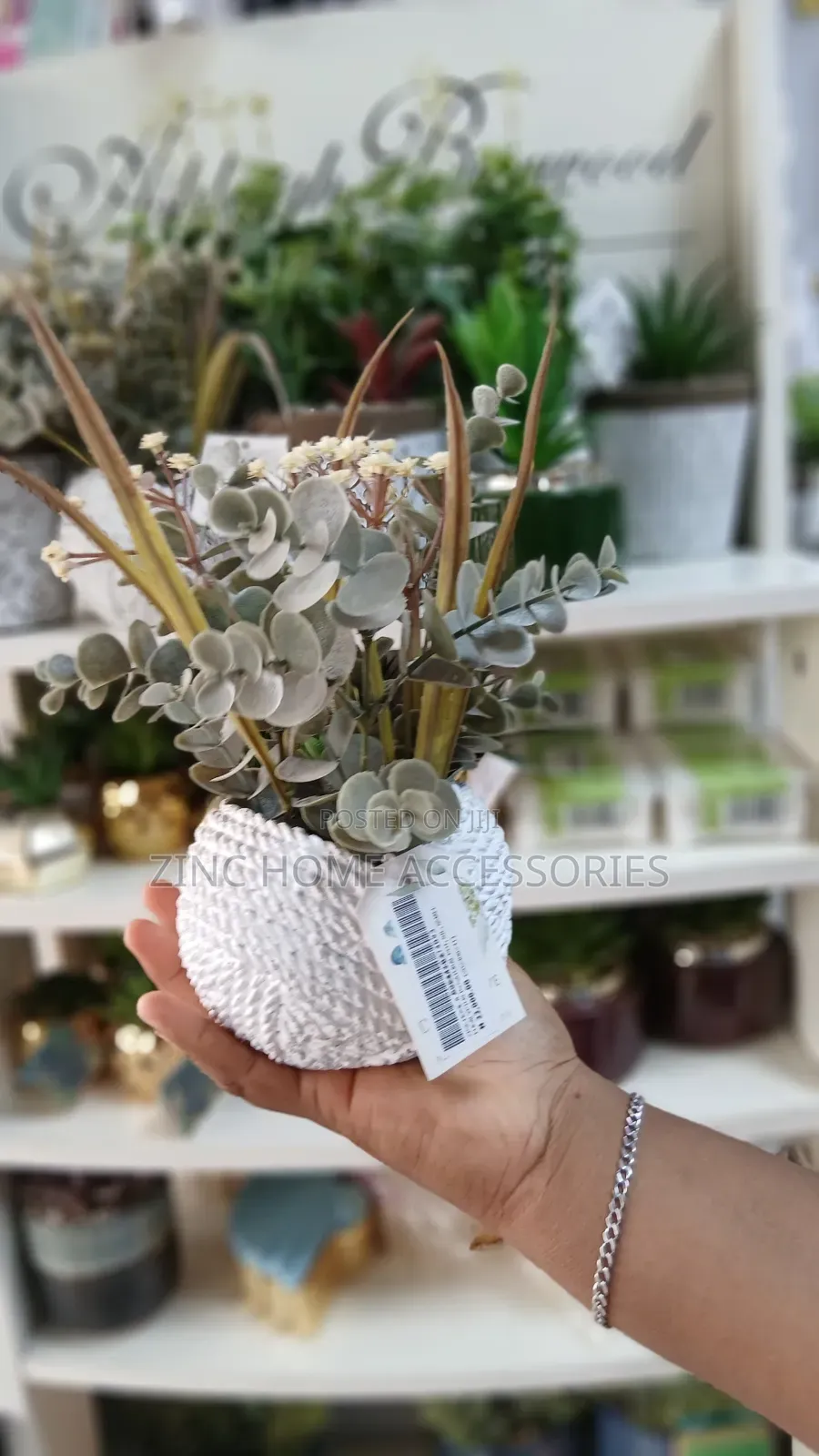 Eucalyptus in Natural Pot Flower