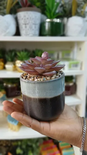 Artificial Synergy Plants