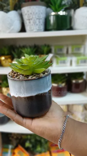 Artificial Synergy Plants