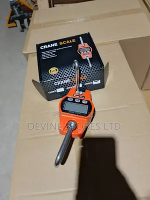 300kg Electronic Crane Scale