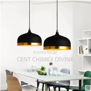 Affordable Hanging Ceiling Light