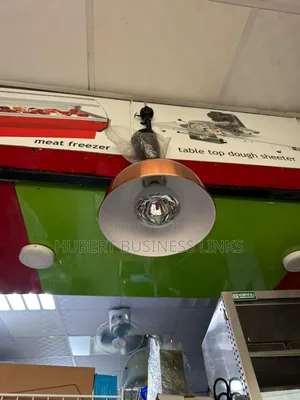 Food Warmer Heat Lamp