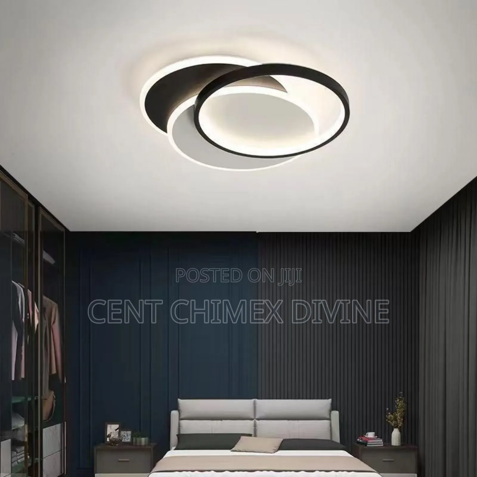 Portable Ceiling Light