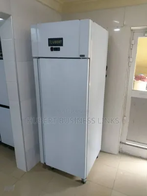 Industrial Single Door Stainless Chiller