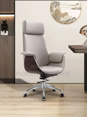 High Quality Imported Designs Director Office Chair
