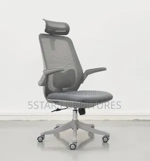 Home Office Mesh Adjustable Arm Chair