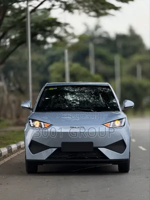 New BYD Seagull 2024 Blue