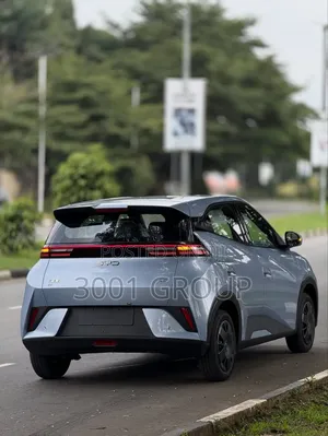 New BYD Seagull 2024 Blue