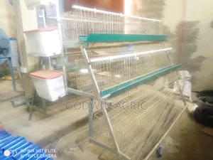Cold Galvanized Battery Cage 96 Bird Capacity