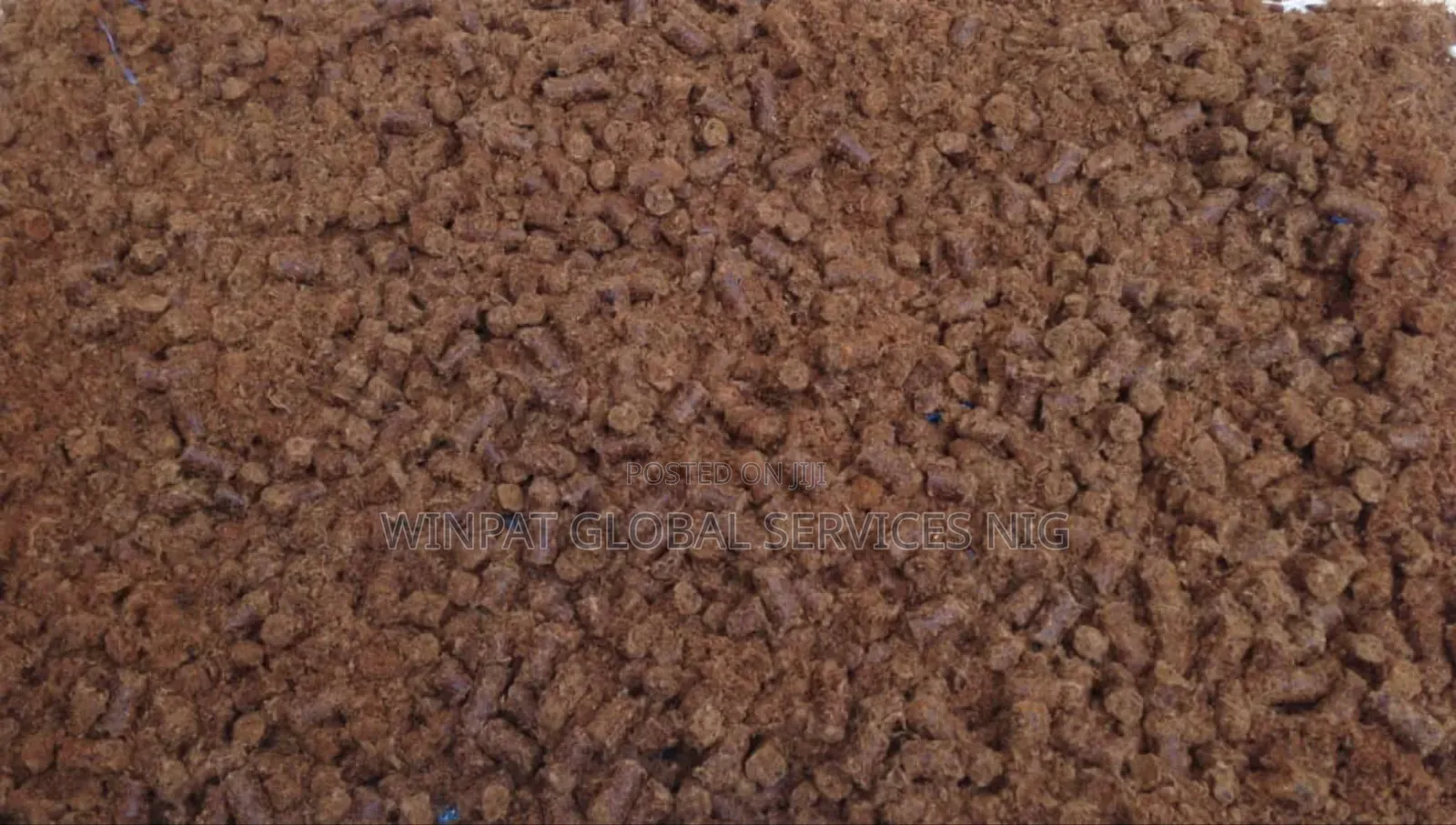 Cotton Seeds Cake (Meal)