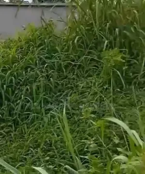 For Sale: 21⁄2 Plots Before Ait on the Major Nta Road, Ph