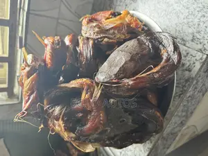 Dried Catfish
