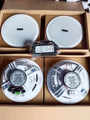 Sky-Tec 4 in 1 Bluetooth,Usb Input 30watts Ceiling Speaker