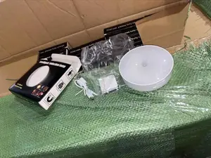 Sensor Light With Switch.