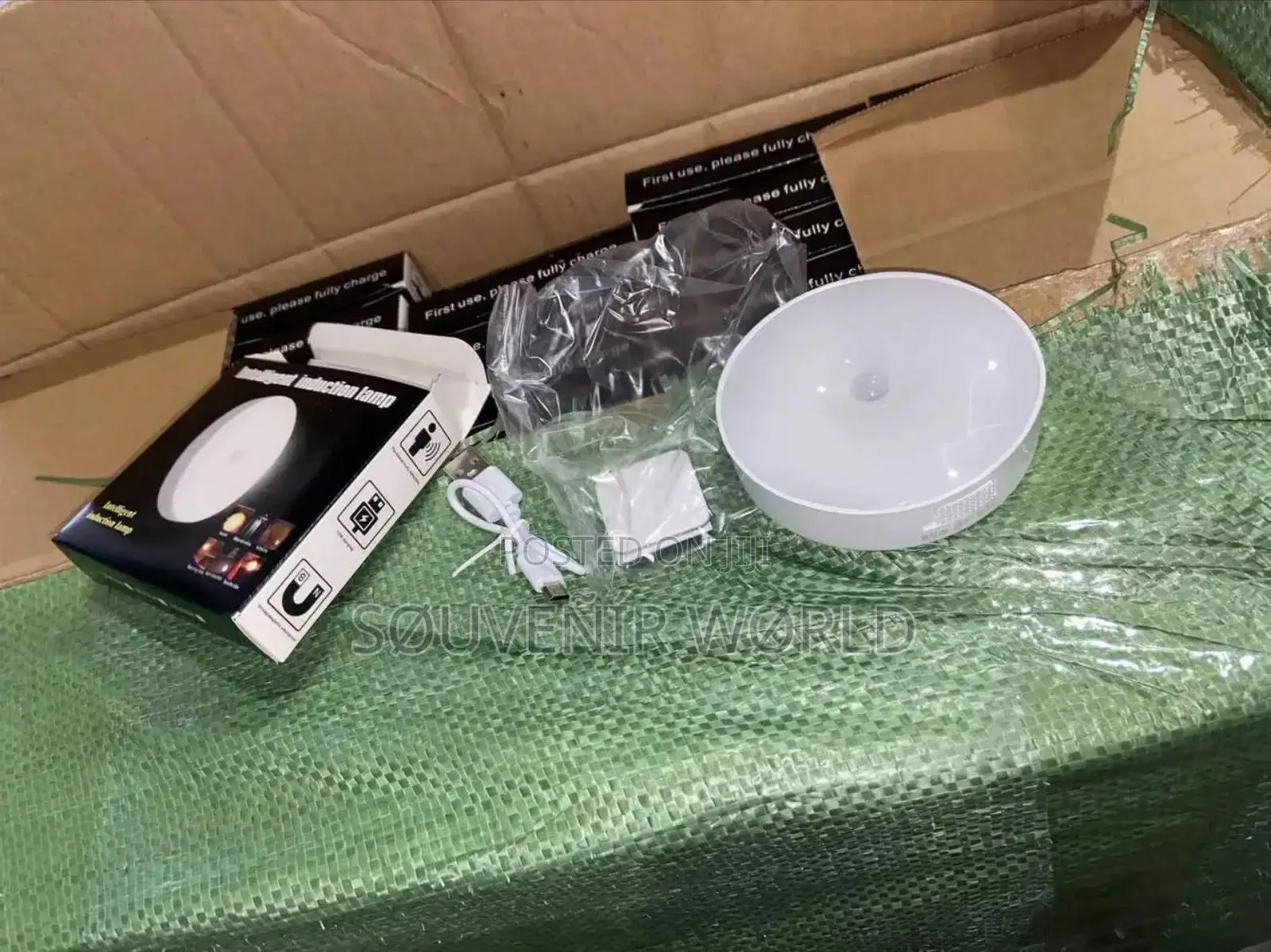 Sensor Light With Switch.