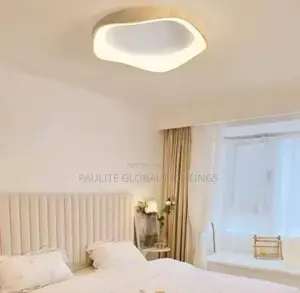 Ceiling Fittings Lights