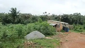 Full Plot of Total Dry, Up and Level Land for Sale in Ikorodu