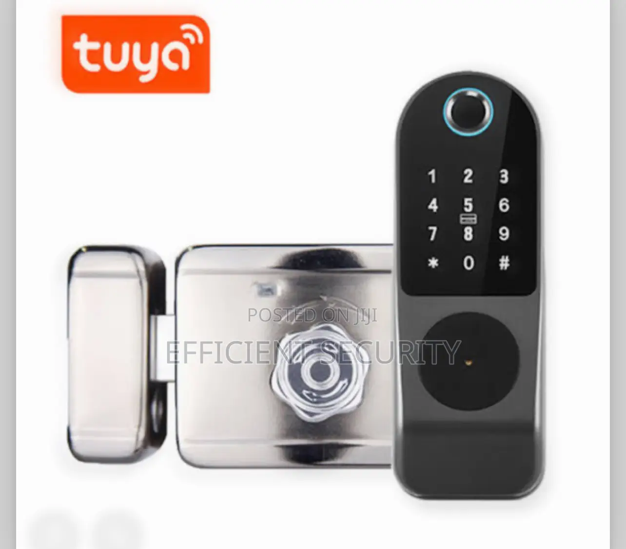 Tuya Outdoors Waterproof Smart Door Lock For Gate
