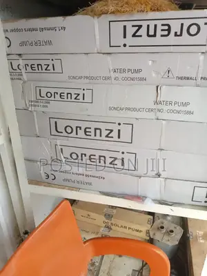 Lorenzi Submersible Water Pump