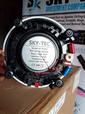 Sky-Tec 30watts Flameless 8inches Ceiling Speaker Big Magnet