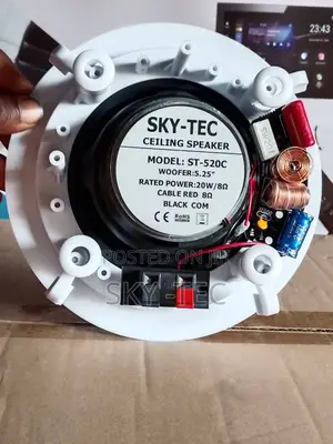 Sky-Tec 20watts Crossover Ceiling Speaker Magnet