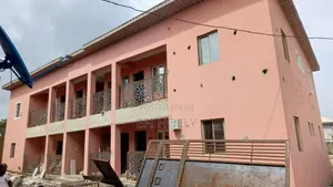 Professional Painter Screder and Paint Production