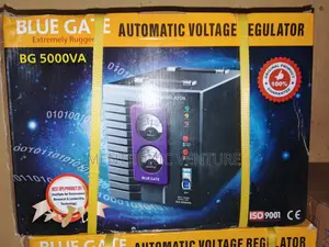Stabilizer 5000va