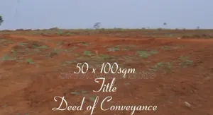 50x100sq.Meter: Land for Sale at Ezi Nkwelle Thru Express.