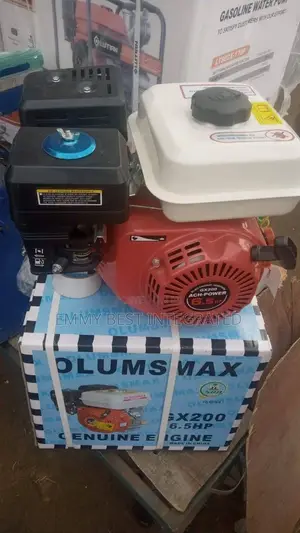 Gasoline Engine.6 5hp