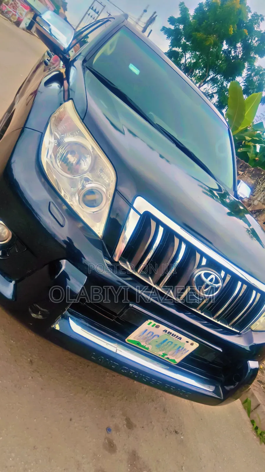 Prado For Hire