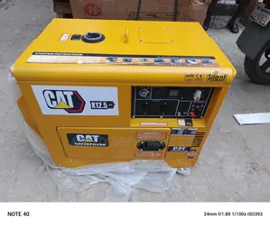 Cat 10kvaa Diesel Engine With Big Coil