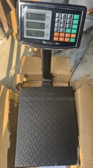 Bb Camry Tcs Series Digital Scale 300kg